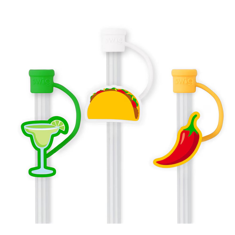 Swig Reusable Straw Set