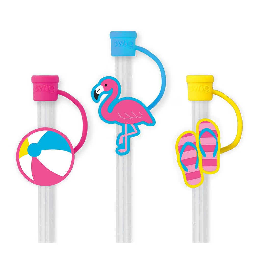 Swig Reusable Straw Set