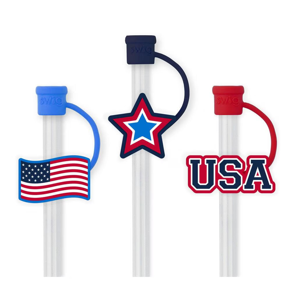 Swig Reusable Straw Set