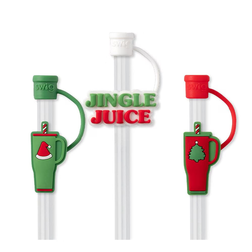 Swig Reusable Straw Set