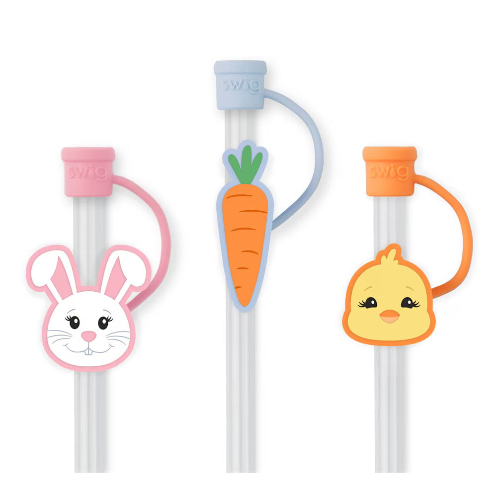 Swig Reusable Straw Set