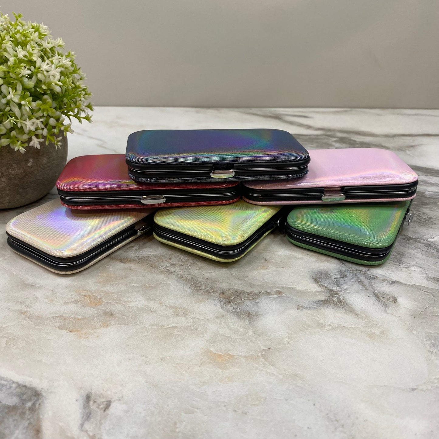 Manicure Nail Case & Set - Solid Holographic