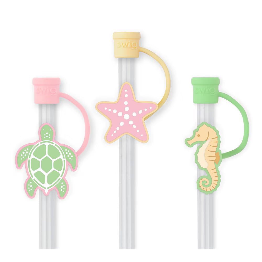 Swig Reusable Straw Set