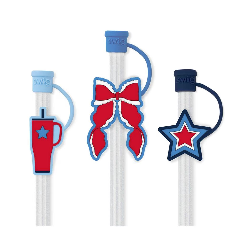 Swig Reusable Straw Set