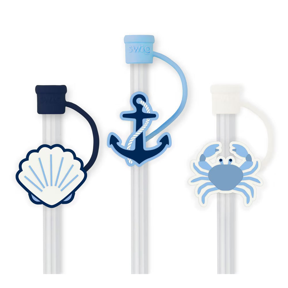 Swig Reusable Straw Set