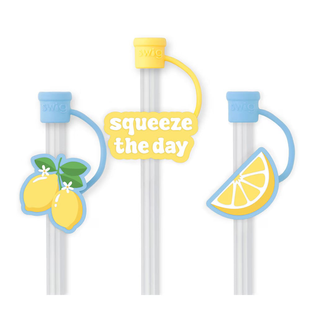 Swig Reusable Straw Set