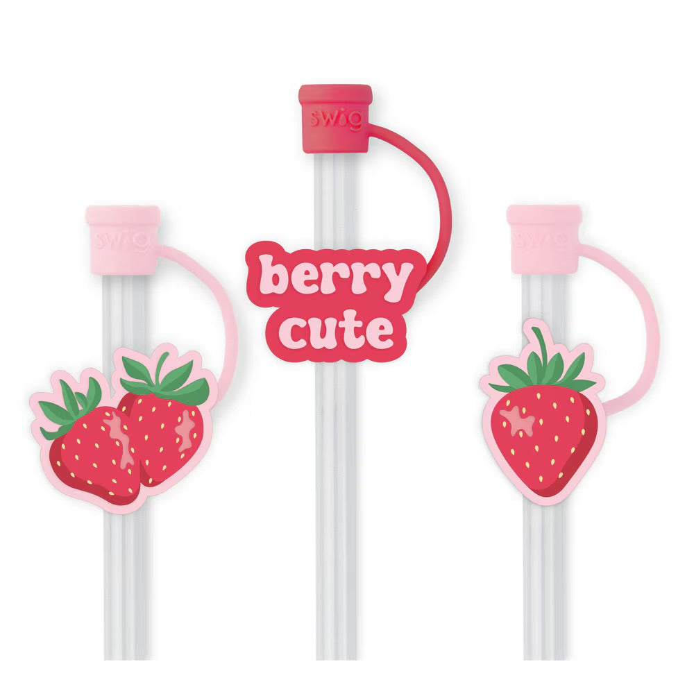 Swig Reusable Straw Set