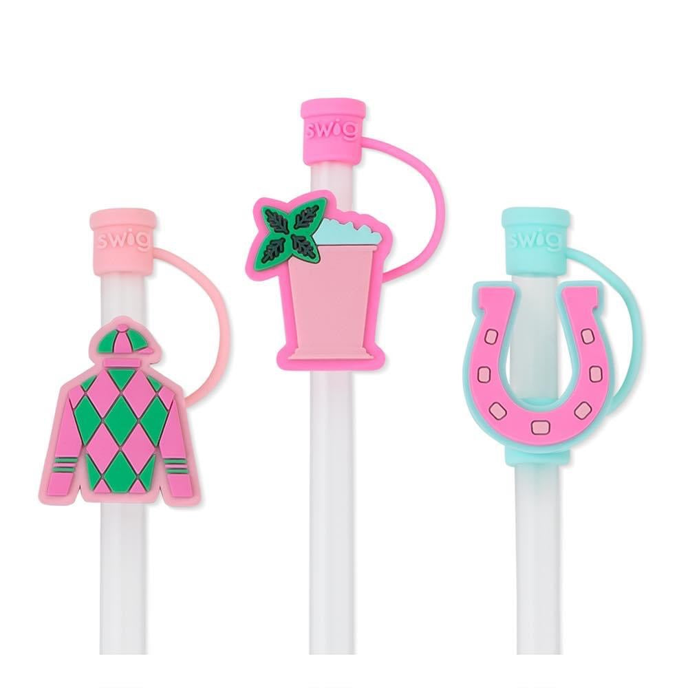 Swig Reusable Straw Set