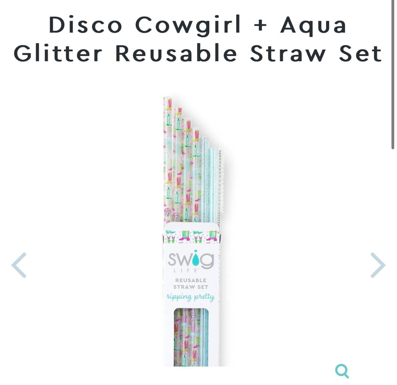 Swig Reusable Straw Set